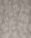 Skin -  300580