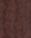 Skin -  300583
