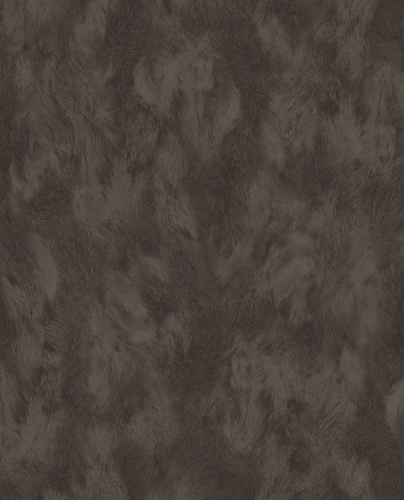 Skin -  300585