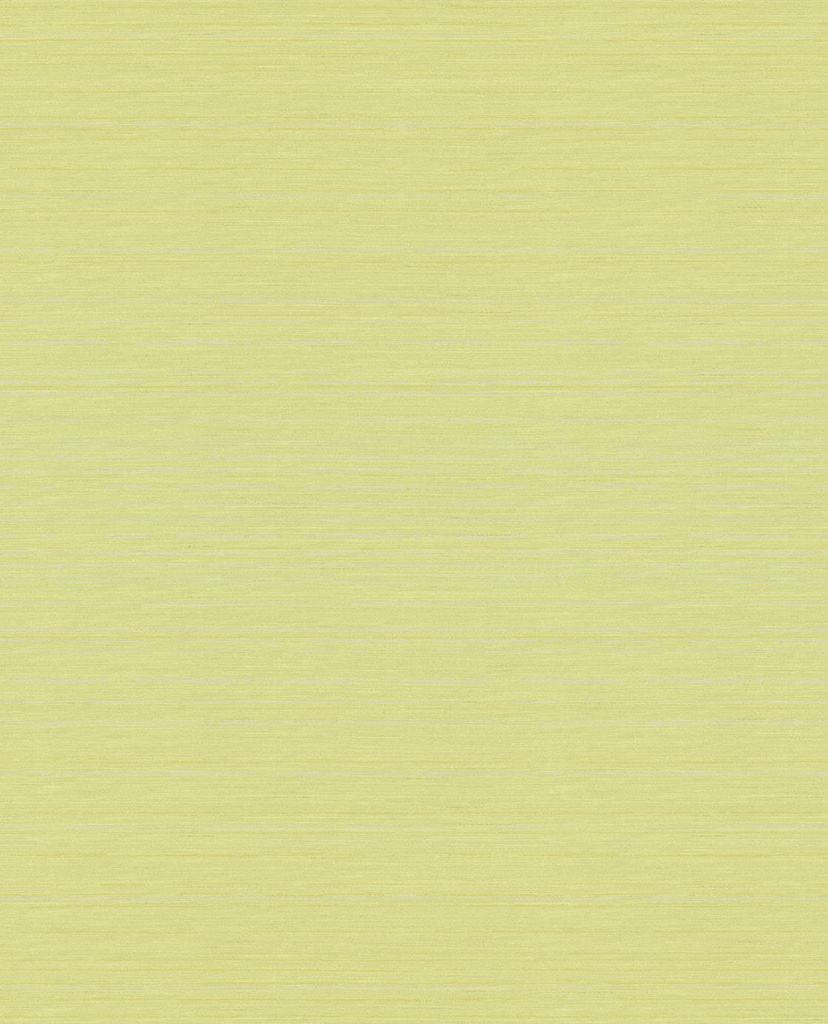[364043] Wallpower Junior -  364043