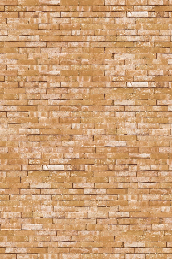 [364190] Wallpower Junior -  364190